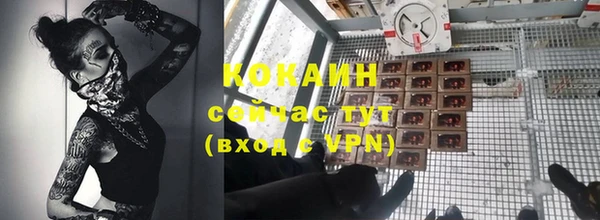 кокс Бородино