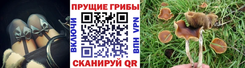 Галлюциногенные грибы Magic Shrooms  Якутск 